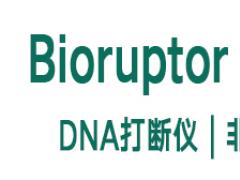 頂部幻燈片02