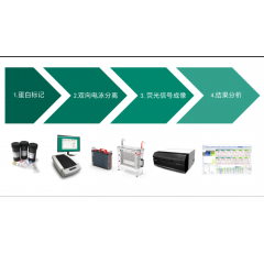 Ettan 2D DIGE 熒光差異蛋白表達分析系統