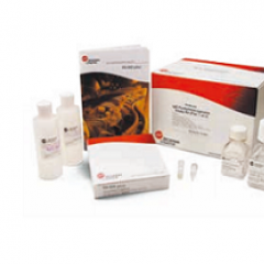 SCIEX毛細電泳耗材 390953試劑 SDS-MW Analysis Kit 390953